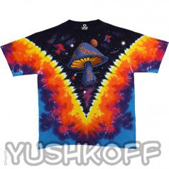 Без мальчика футболка выглядит именно так