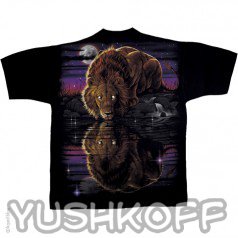 Красивый ночь и роскошный Лев...